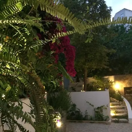 Garden Stays, Close To Tram 28, Views & Sao Jorge Castle Lisboa